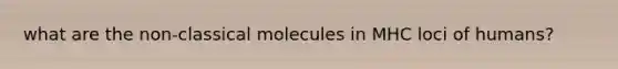 what are the non-classical molecules in MHC loci of humans?