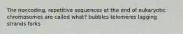 The noncoding, repetitive sequences at the end of eukaryotic chromosomes are called what? bubbles telomeres lagging strands forks