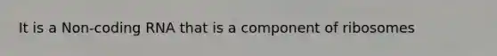 It is a Non-coding RNA that is a component of ribosomes