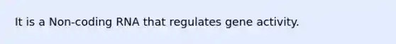 It is a Non-coding RNA that regulates gene activity.