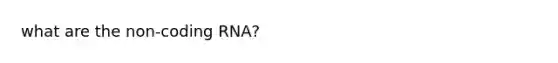what are the non-coding RNA?