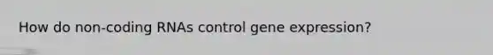 How do non-coding RNAs control gene expression?