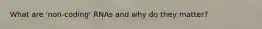 What are 'non-coding' RNAs and why do they matter?