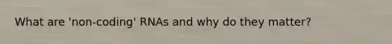 What are 'non-coding' RNAs and why do they matter?