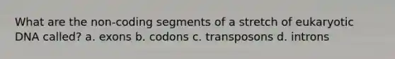 What are the non-coding segments of a stretch of eukaryotic DNA called? a. exons b. codons c. transposons d. introns