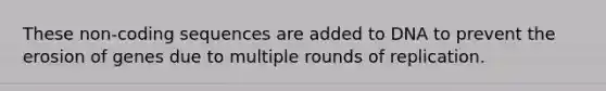 These non-coding sequences are added to DNA to prevent the erosion of genes due to multiple rounds of replication.