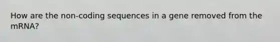 How are the non-coding sequences in a gene removed from the mRNA?