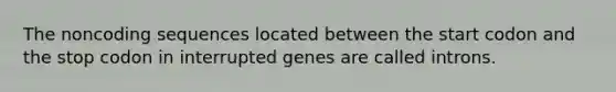 The noncoding sequences located between the start codon and the stop codon in interrupted genes are called introns.