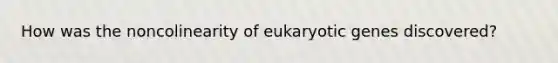 How was the noncolinearity of eukaryotic genes discovered?