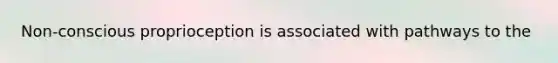 Non-conscious proprioception is associated with pathways to the