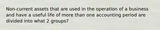 Non-current assets that are used in the operation of a business and have a useful life of more than one accounting period are divided into what 2 groups?