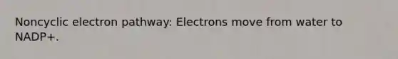 Noncyclic electron pathway: Electrons move from water to NADP+.