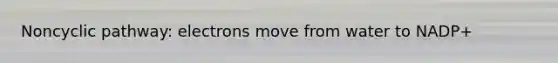 Noncyclic pathway: electrons move from water to NADP+