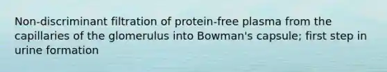 Non-discriminant filtration of protein-free plasma from the capillaries of the glomerulus into Bowman's capsule; first step in urine formation