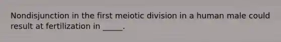 Nondisjunction in the first meiotic division in a human male could result at fertilization in _____.