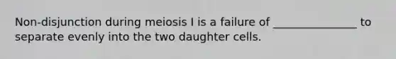 Non-disjunction during meiosis I is a failure of _______________ to separate evenly into the two daughter cells.