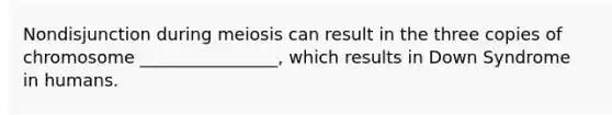 Nondisjunction during meiosis can result in the three copies of chromosome ________________, which results in Down Syndrome in humans.