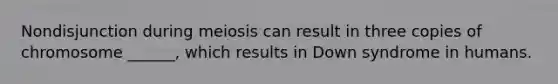 Nondisjunction during meiosis can result in three copies of chromosome ______, which results in Down syndrome in humans.