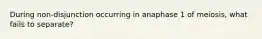 During non-disjunction occurring in anaphase 1 of meiosis, what fails to separate?