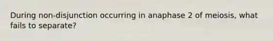 During non-disjunction occurring in anaphase 2 of meiosis, what fails to separate?