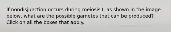 If nondisjunction occurs during meiosis I, as shown in the image below, what are the possible gametes that can be produced? Click on all the boxes that apply.