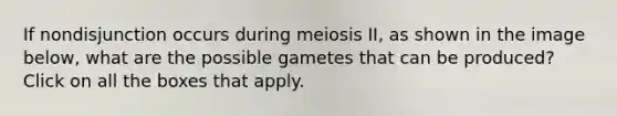 If nondisjunction occurs during meiosis II, as shown in the image below, what are the possible gametes that can be produced? Click on all the boxes that apply.