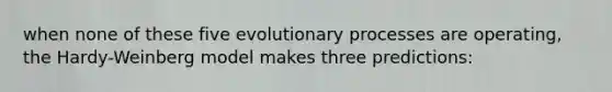 when none of these five evolutionary processes are operating, the Hardy-Weinberg model makes three predictions: