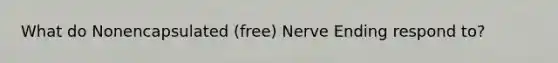 What do Nonencapsulated (free) Nerve Ending respond to?