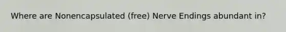 Where are Nonencapsulated (free) Nerve Endings abundant in?