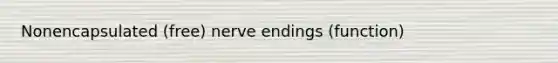 Nonencapsulated (free) nerve endings (function)