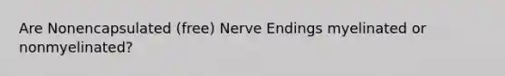 Are Nonencapsulated (free) Nerve Endings myelinated or nonmyelinated?