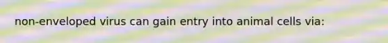 non-enveloped virus can gain entry into animal cells via: