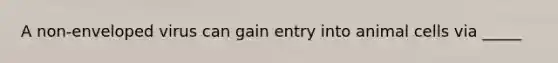 A non-enveloped virus can gain entry into animal cells via _____