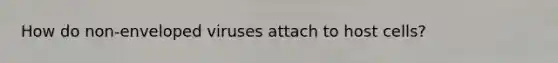 How do non-enveloped viruses attach to host cells?
