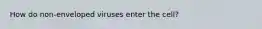 How do non-enveloped viruses enter the cell?