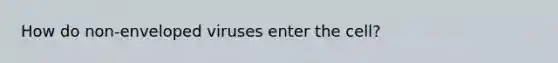 How do non-enveloped viruses enter the cell?
