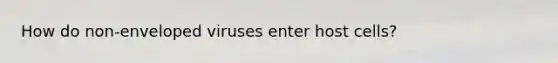 How do non-enveloped viruses enter host cells?