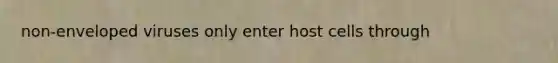 non-enveloped viruses only enter host cells through