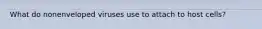 What do nonenveloped viruses use to attach to host cells?