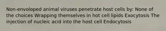 Non-envoloped animal viruses penetrate host cells by: None of the choices Wrapping themselves in hot cell lipids Exocytosis The injection of nucleic acid into the host cell Endocytosis