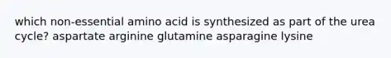 which non-essential amino acid is synthesized as part of the urea cycle? aspartate arginine glutamine asparagine lysine