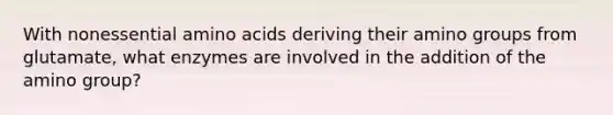 With nonessential <a href='https://www.questionai.com/knowledge/k9gb720LCl-amino-acids' class='anchor-knowledge'>amino acids</a> deriving their amino groups from glutamate, what enzymes are involved in the addition of the amino group?