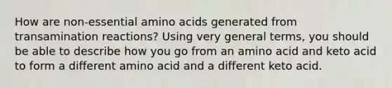 How are non-essential amino acids generated from transamination reactions? Using very general terms, you should be able to describe how you go from an amino acid and keto acid to form a different amino acid and a different keto acid.