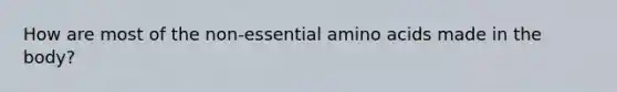 How are most of the non-essential amino acids made in the body?