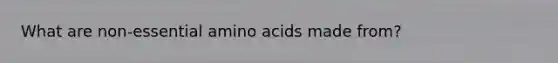 What are non-essential amino acids made from?