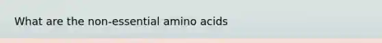 What are the non-essential amino acids