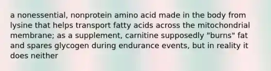 a nonessential, nonprotein amino acid made in the body from lysine that helps transport fatty acids across the mitochondrial membrane; as a supplement, carnitine supposedly "burns" fat and spares glycogen during endurance events, but in reality it does neither