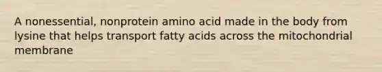 A nonessential, nonprotein amino acid made in the body from lysine that helps transport fatty acids across the mitochondrial membrane