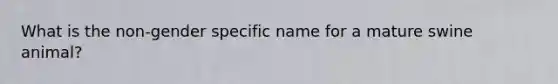 What is the non-gender specific name for a mature swine animal?