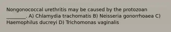 Nongonococcal urethritis may be caused by the protozoan ________. A) Chlamydia trachomatis B) Neisseria gonorrhoaea C) Haemophilus ducreyi D) Trichomonas vaginalis